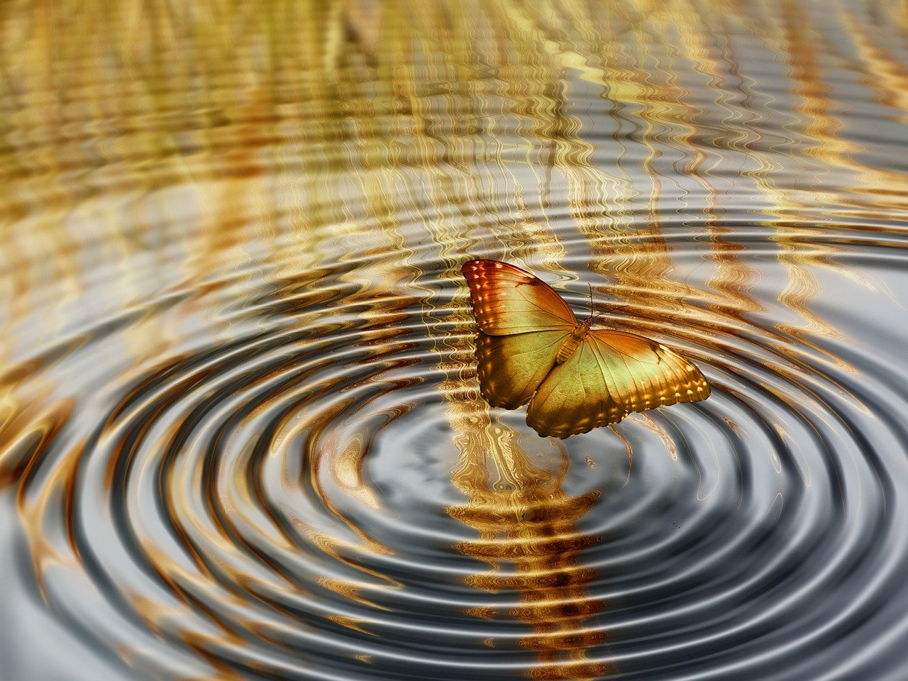 探索搜孤体肓，理解这一独特现象及其影响