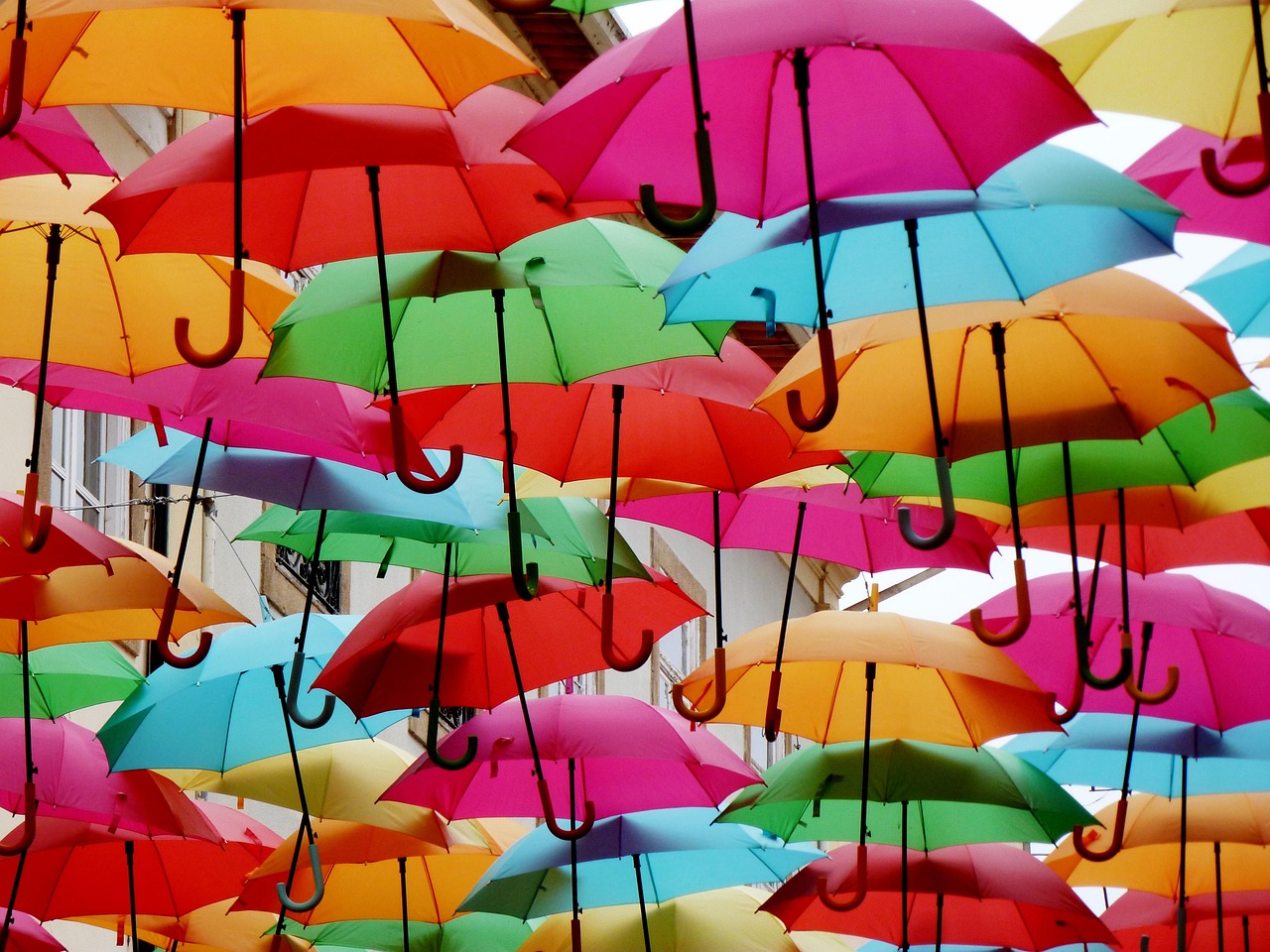 未雨绸缪，为什么我建议你带上雨伞是智慧之举