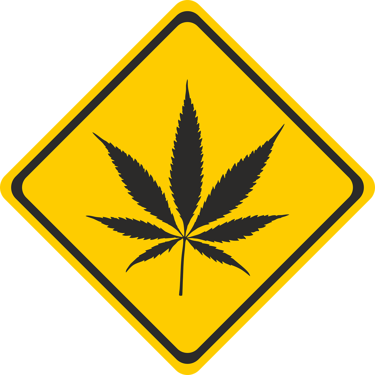 朝阳区卫生防疫站，守护您健康的坚强盾牌
