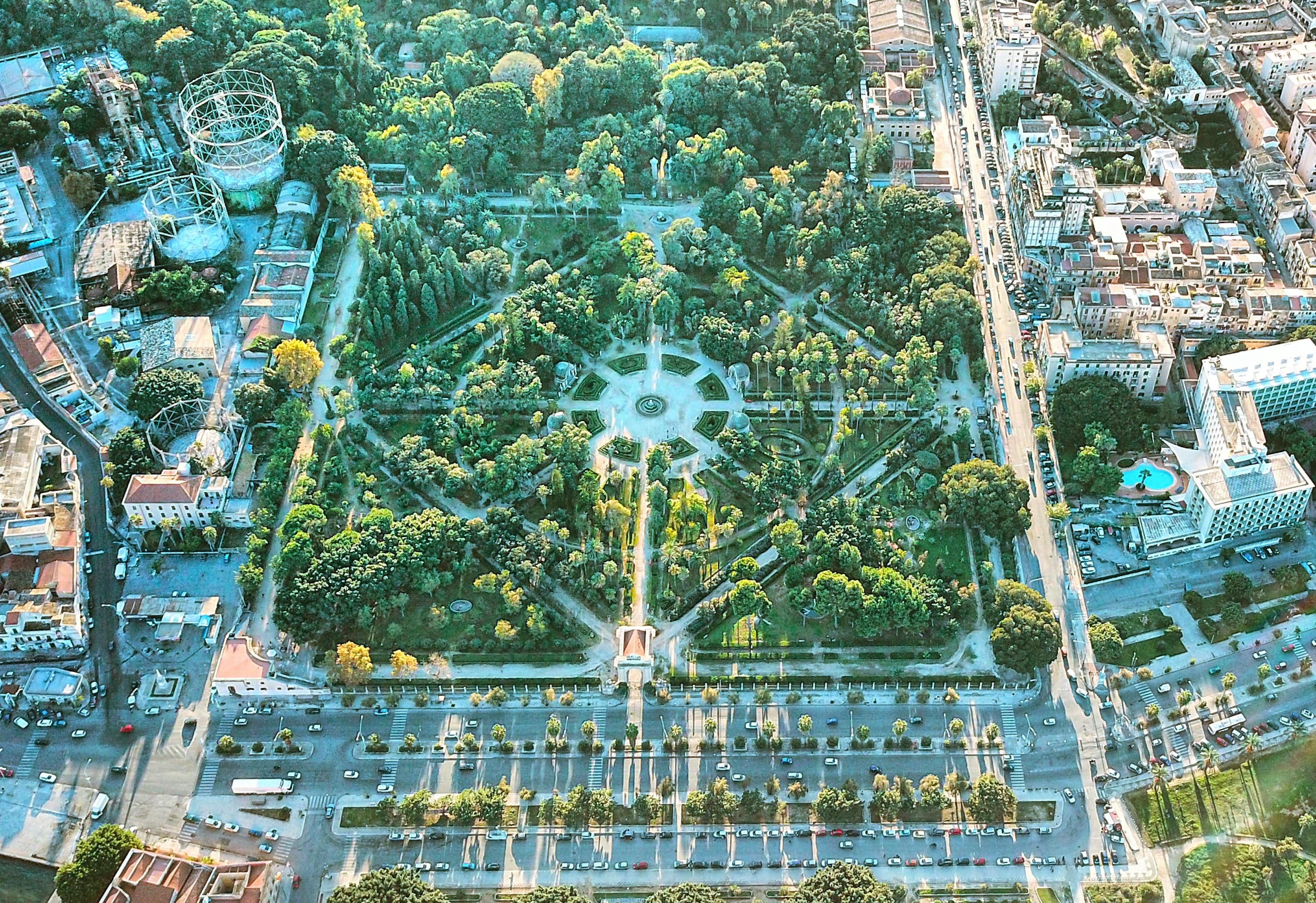 鹿泉抗疫，共同守护我们的家园
