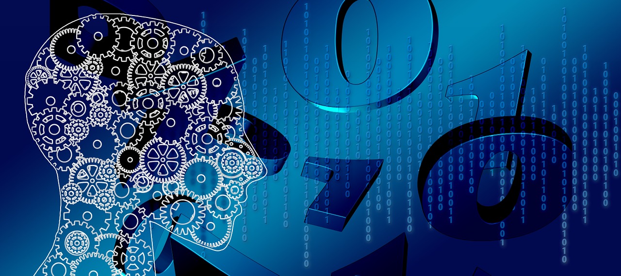 体育与数字，现代技术如何重塑运动世界